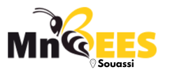 MnBees Mahdia - Souassi